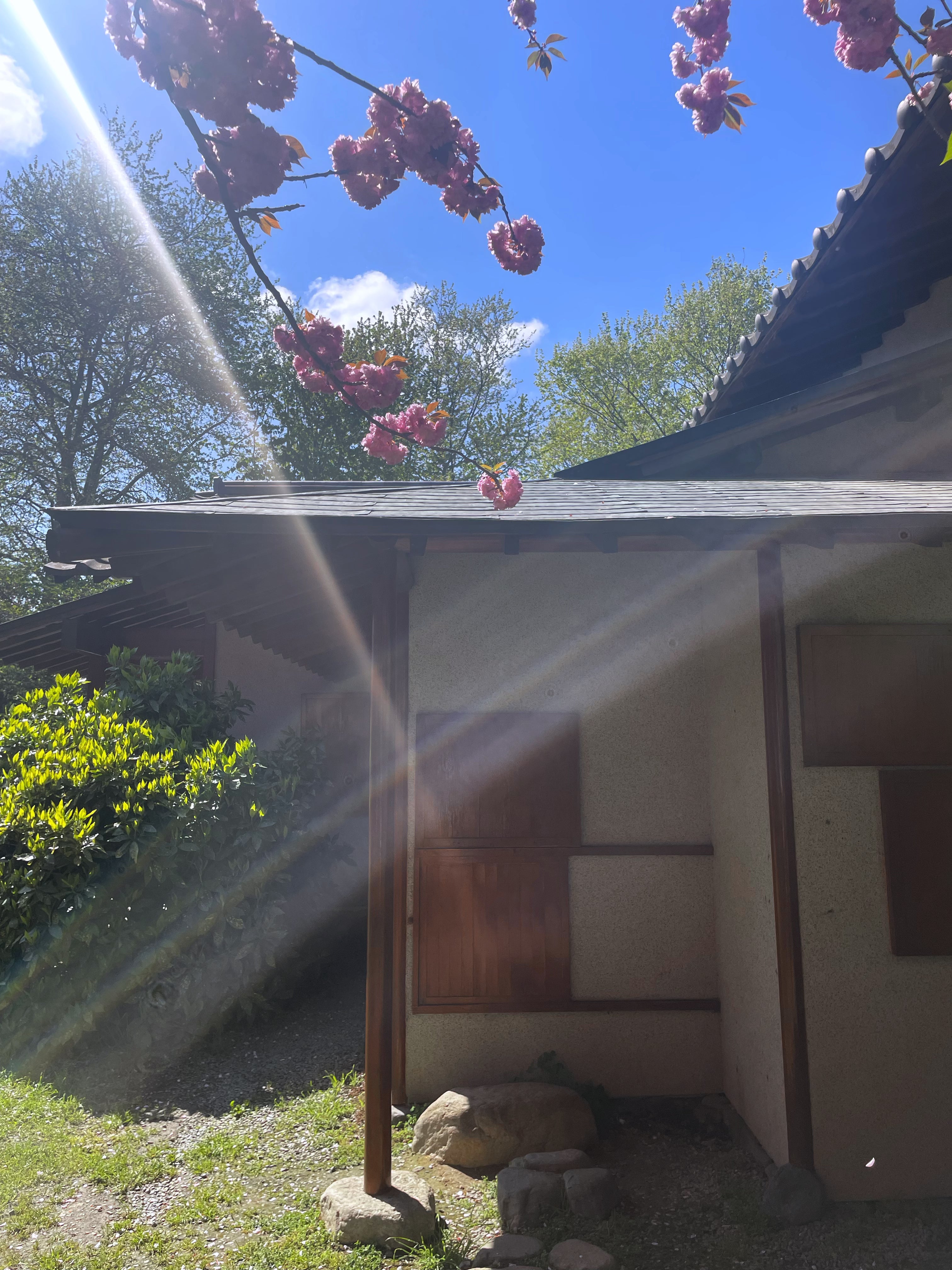 robe de prière inspiré de l'univers asiatique, malaisie, indonésie flowae